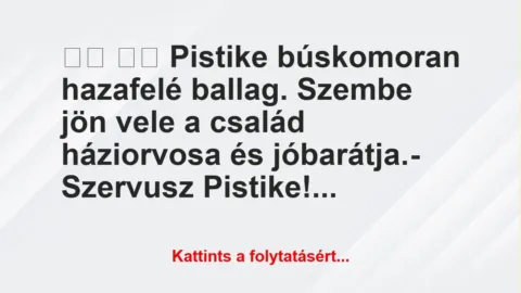 Vicc:
Pistike búskomoran hazafelé ballag. Szembe jön… Vicc:
Pistike búskomoran hazafelé ballag. Szembe jön…