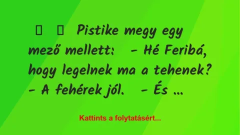 Vicc: 
	    	    Pistike megy egy mező mellett:


– Hé Feribá, hogy…