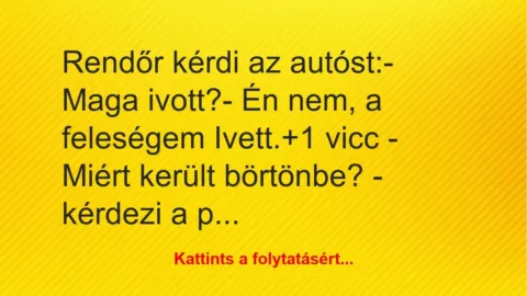 Vicc: Rendőr kérdi az autóst:

– Maga ivott?

– Én nem, a feleségem…