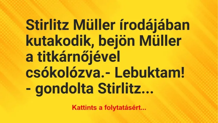 Vicc: Stirlitz Müller írodájában kutakodik, bejön Müller a titkárnőjével… Vicc: Stirlitz Müller írodájában kutakodik, bejön Müller a titkárnőjével…