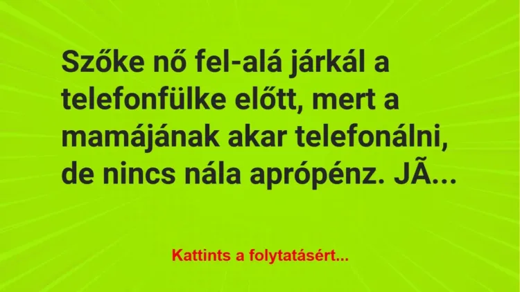 Vicc: Szőke nő fel-alá járkál a telefonfülke előtt… – Vicc: Szőke nő fel-alá járkál a telefonfülke előtt… –