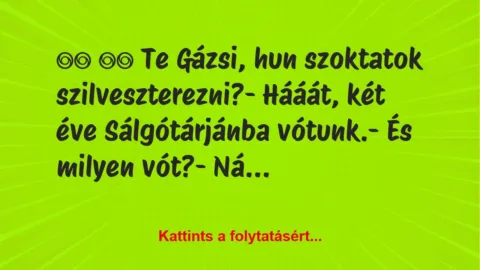 Vicc: 
		  
		  Te Gázsi, hun szoktatok szilveszterezni?-…