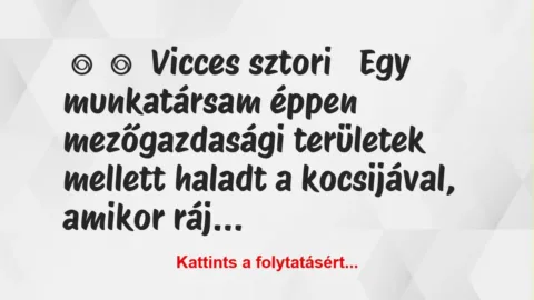 Vicc: 
	    	    Vicces sztori


Egy munkatársam éppen mezőgazdasági…