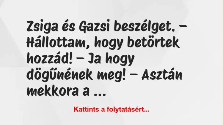 Vicc: Zsiga és Gazsi beszélget…. – Vicc: Zsiga és Gazsi beszélget…. –