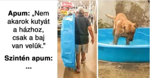 15 tipikus férfi szituáció, ami bizonyítja, hogy a logikájuk teljesen...... 15 jellegzetes férfi helyzet, amelyek a logikájuk különlegességét szemléltetik…