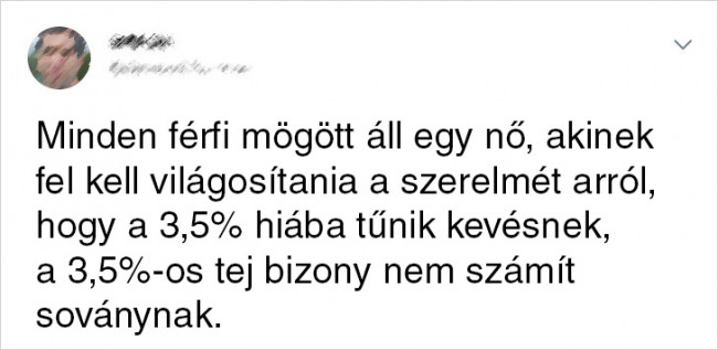 Üres tejesdoboz