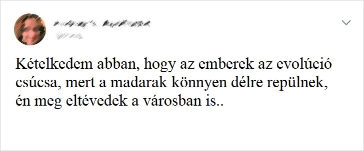 Valóságos önirónia