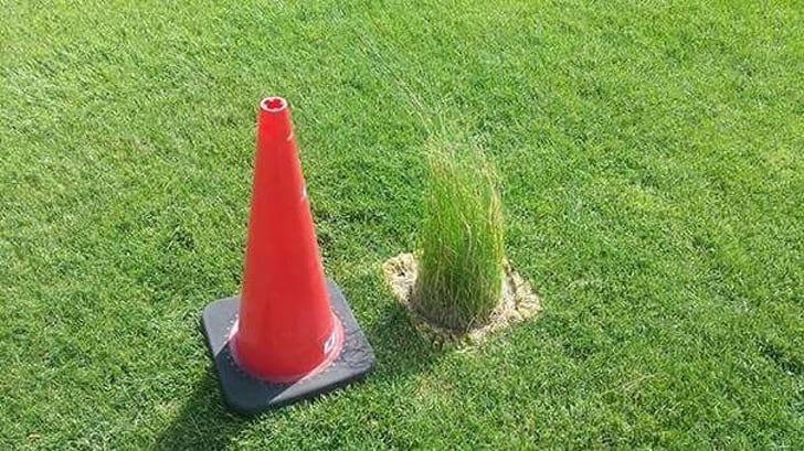 Hosszú sárga dolgok, amik nem sárgák