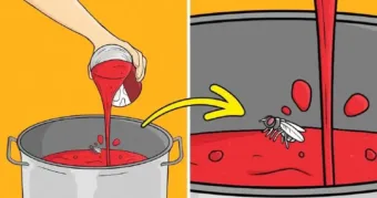 Az a 4 ok, amiért mindig meg kell mosnod a konzerv és üdítő dobozt kinyitás előtt