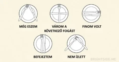 25 udvariassági szabály, amit mindenkinek ismernie kell
