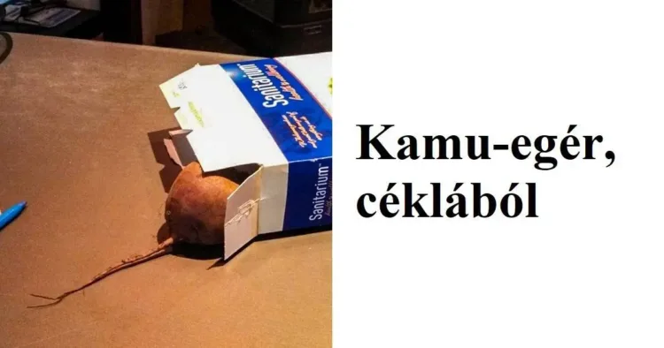 25 család, akiknek a vérükben van a humor... 25 humorban gazdag család, akik mindig földerítik napod…