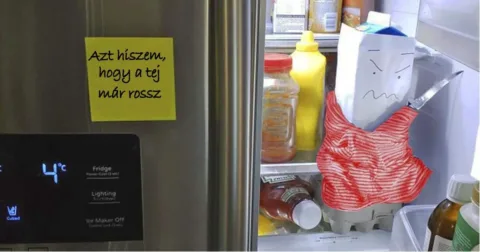 Minden nap farsang – 20 házastárs, aki színt visz a házasságba