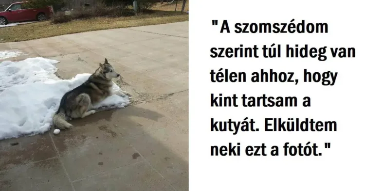 A 13 legviccesebb és legpasszívabb agresszív szomszéd üzenet, amit...... 13 passzív-agresszív szomszédi üzenet, amitől elszáll a humorérzéked…