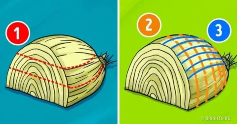 19 Főzési titok a mesterszakácsok konyhájából