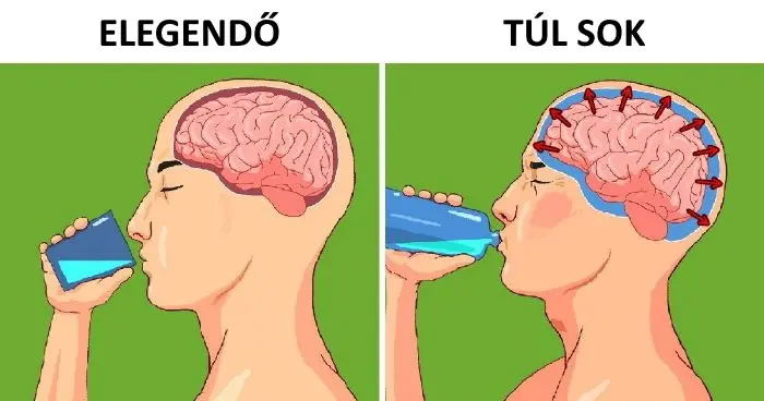 8 egészséges étel, amivel nem szabad túlzásba esni 8 egészséges étel, amivel nem szabad túlzásba esni