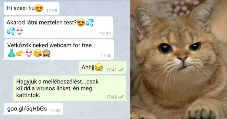 20 üzenetváltás, ami jól tükrözi, hogy a társkeresés néha...... 20 lenyűgöző üzenetváltás a társkeresés világából