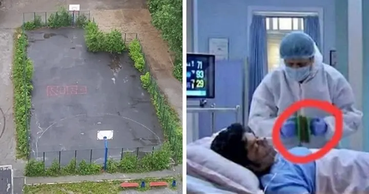 20 alkalom, mikor az emberek olyan dolgokkal találkoztak, amikre nem...... 20 olyan nem mindennapi találkozás, ami meglepetést okozott a hétköznapokban