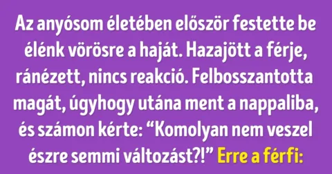 20+ vicces alkalom, amikor az emberek nem vették észre a 20+ komikus pillanat, amikor az emberek nem vették észre a közelükben lévő dolgokat