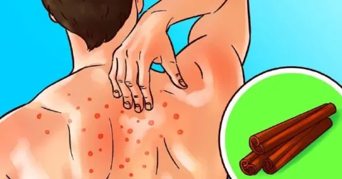 Tíz gyógyító fűszernövény, amely segíthet az egészség fenntartásában