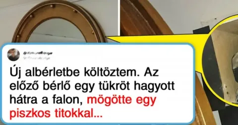 18 személy, aki váratlan "ajándékot" talált az előző bérlőktől, és... Váratlan „ajándékok” az előző bérlőtől – 18 meglepő történet új otthonról