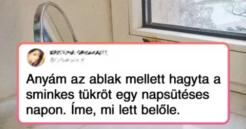 20 alak, aki piszkosul pórul járt a saját otthonában 20 ember, aki otthona biztonságában találkozott váratlan meglepetésekkel