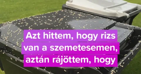Az “Én házam, én váram” eszméje megkérdőjeleződik: 21 igaz történet