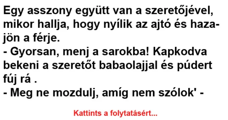 Egy asszony együtt van a szeretőjével, mikor hallja, hogy nyílik Egy asszony együtt van a szeretőjével, mikor hallja, hogy nyílik az…