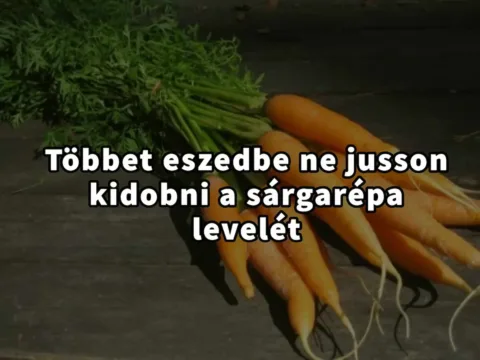 Ne hagyja veszendőbe menni a sárgarépa levelét: ilyen hatásai vannak…