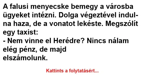 Vicc: A falusi menyecske bemegy a városba ügyeket intézni Vicc: A falusi menyecske bemegy a városba ügyeket intézni