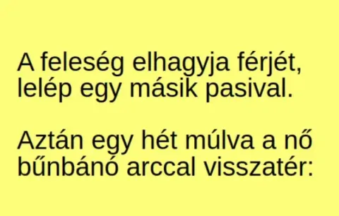 Vicc: A feleség elhagyja férjét, lelép egy másik