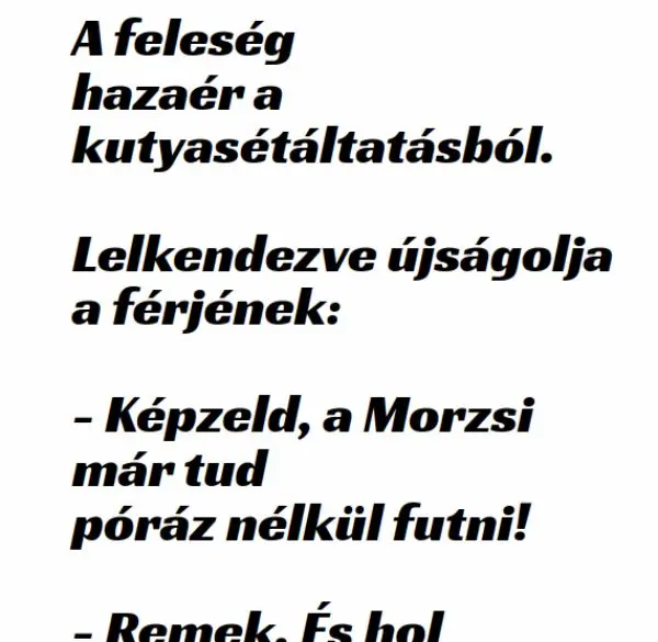 Vicc: A feleség hazaér a kutyasétáltatásból Vicc: A feleség hazaér a kutyasétáltatásból
