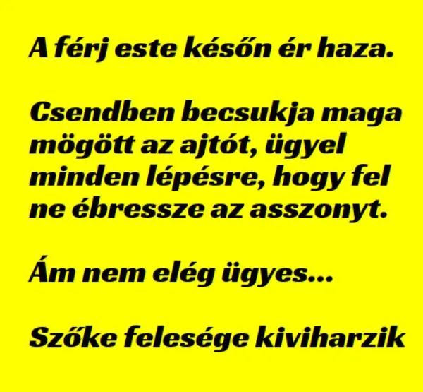 Vicc: A férj este későn ér haza. Csendben becsukja maga