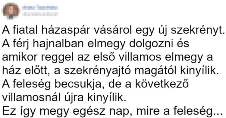 Vicc: A fiatal házaspár vásárol egy új szekrényt Vicc: A fiatal házaspár vásárol egy új szekrényt