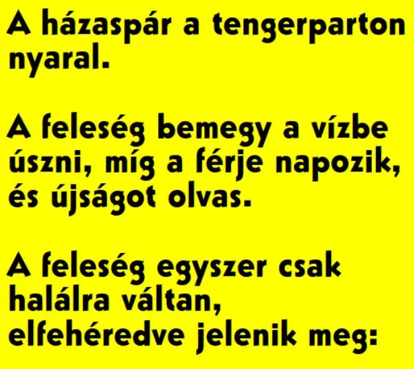 Vicc: A házaspár a tengerparton nyaral, a feleség egyszer csak