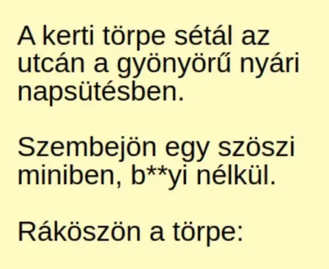 Vicc: A kerti törpe sétál az utcán a gyönyörű nyári Vicc: A kerti törpe sétál az utcán a gyönyörű nyári napsütésben