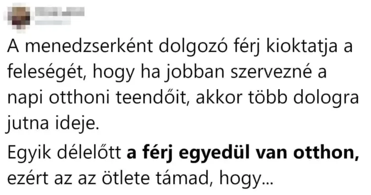 Vicc: A menedzserként dolgozó férj kioktatja a feleségét Vicc: A menedzserként dolgozó férj kioktatja a feleségét