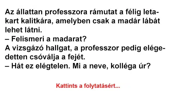 Vicc: Az állattan professzora rámutat a félig letakart kalitkára Vicc: Az állattan professzora rámutat a félig letakart kalitkára