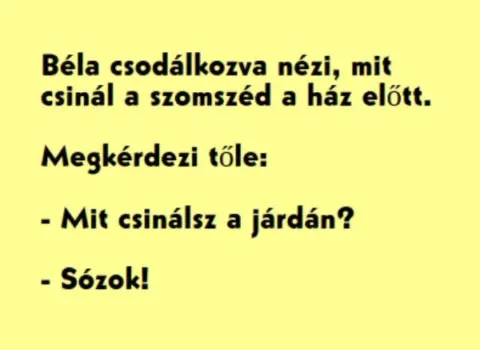 Vicc: Béla csodálkozva nézi, mit csinál a szomszéd a ház Vicc: Béla csodálkozva nézi, mit csinál a szomszéd a ház előtt