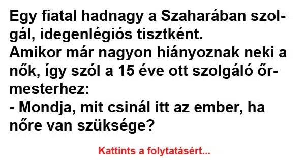 Vicc: Egy fiatal hadnagy a Szaharában szolgál