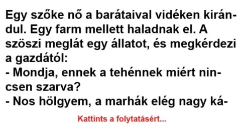Vicc: Egy szőke nő a barátaival vidéken kirándul