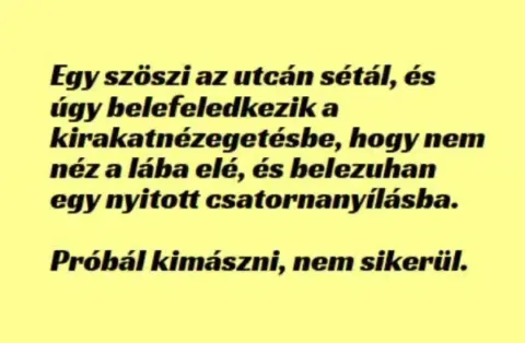 Vicc: Egy szöszi az utcán sétál, és úgy belefeledkezik a... Vicc: Egy szöszi az utcán sétál, és úgy belefeledkezik a…