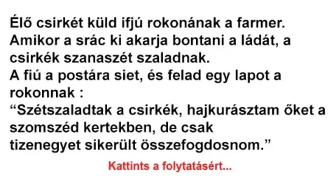 Vicc: Élő csirkét küld ifjú rokonának a farmer.