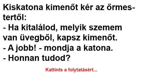 Vicc: Kiskatona kimenőt kér az őrmestertől Vicc: Kiskatona kimenőt kér az őrmestertől