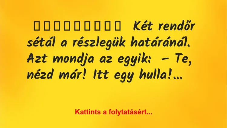 Két rendőr sétál a részlegük határánál Két rendőr sétál a részlegük határánál