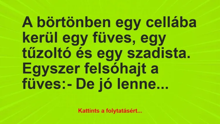 Vicc: A börtönben egy cellába kerül egy füves, egy tűzoltó és egy szadista…. Vicc: A börtönben egy cellába kerül egy füves, egy tűzoltó és egy szadista….