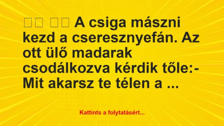 Vicc:
A csiga mászni kezd a cseresznyefán. Az ott ülő… Vicc:
A csiga mászni kezd a cseresznyefán. Az ott ülő…
