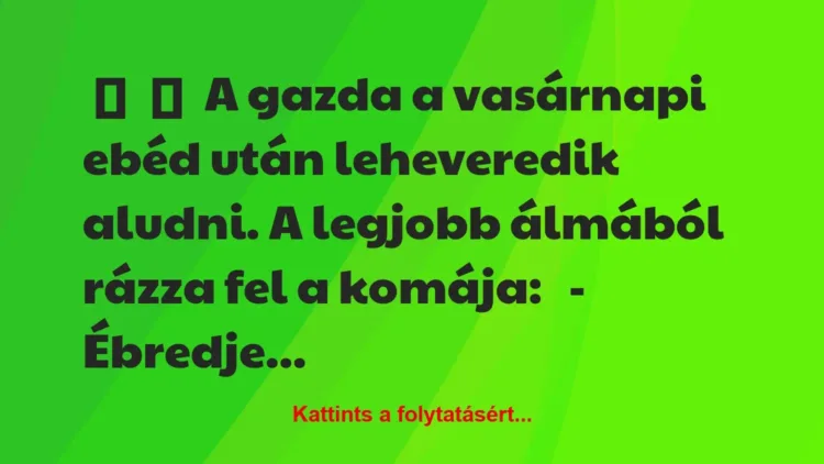 Vicc:
A gazda a vasárnapi ebéd után leheveredik aludni. A legjobb… Vicc:
A gazda a vasárnapi ebéd után leheveredik aludni. A legjobb…