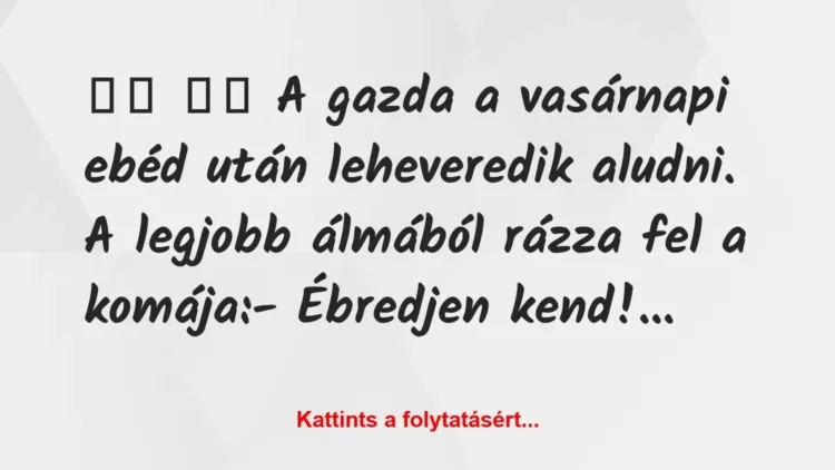 Vicc:
A gazda a vasárnapi ebéd után leheveredik aludni…. Vicc:
A gazda a vasárnapi ebéd után leheveredik aludni….