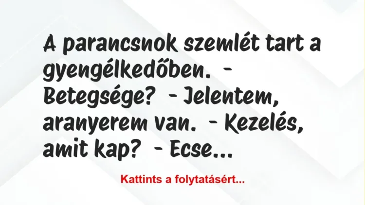 Vicc: A parancsnok szemlét tart a gyengélkedőben.
– Betegsége?
-… Vicc: A parancsnok szemlét tart a gyengélkedőben.
– Betegsége?
-…