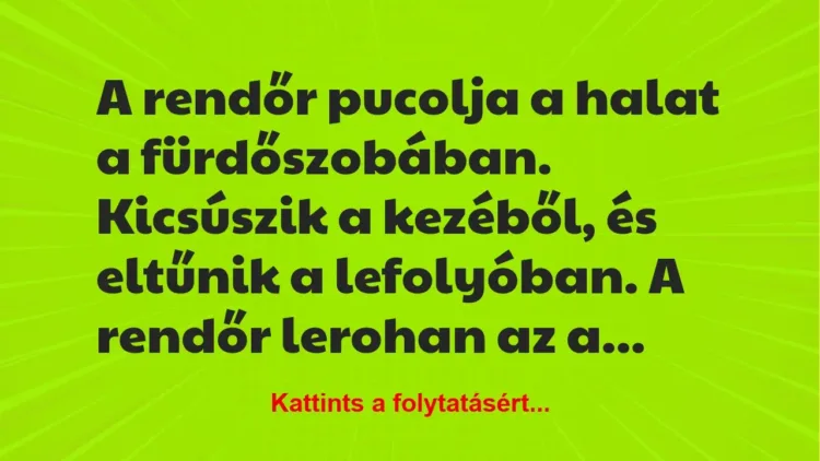Vicc: A rendőr pucolja a halat a fürdőszobában. Kicsúszik a kezéből, és… Vicc: A rendőr pucolja a halat a fürdőszobában. Kicsúszik a kezéből, és…
